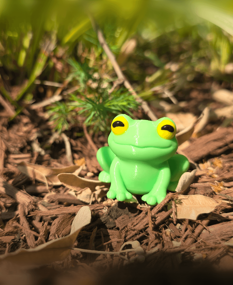 Free 3DL Frog 3d model