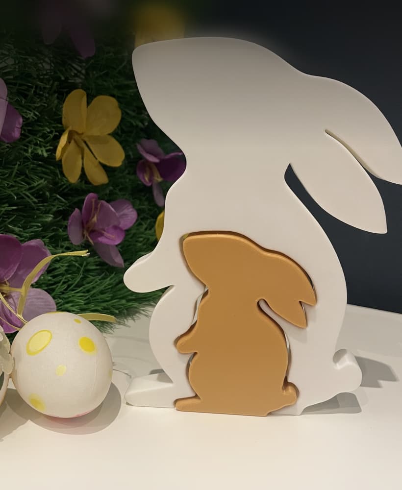 Easter Bunny Duo 3d model