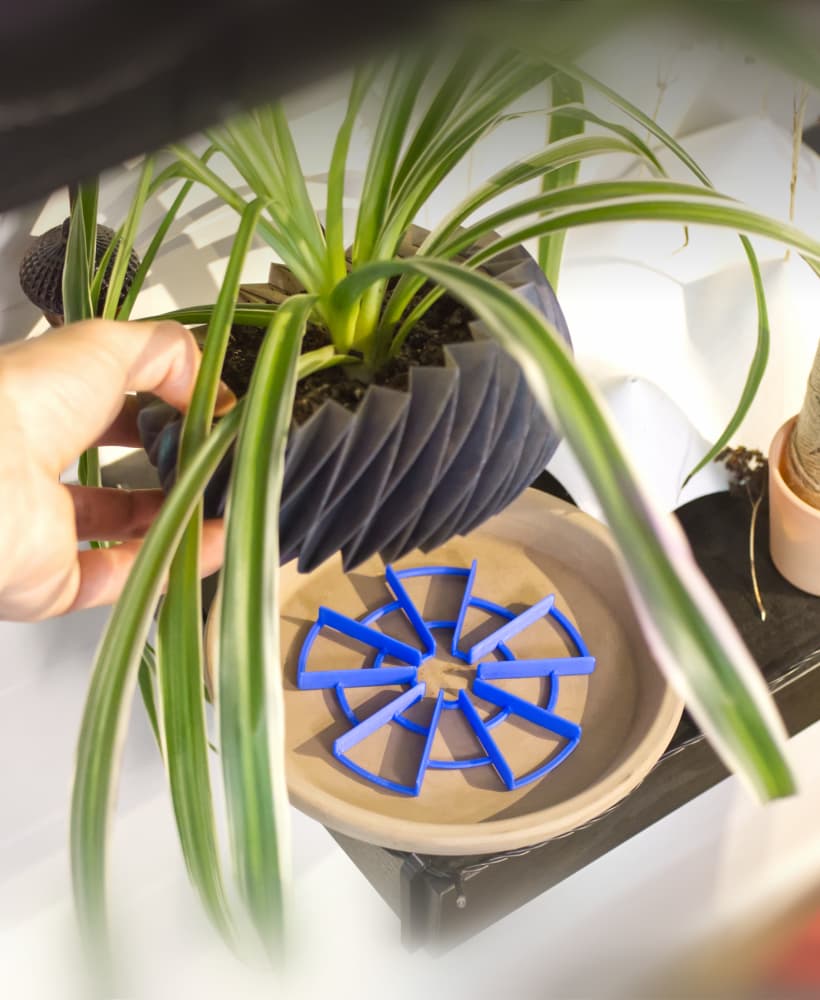 EZPZ Pot Spacers // Airflow and Drainage for Plants 3d model