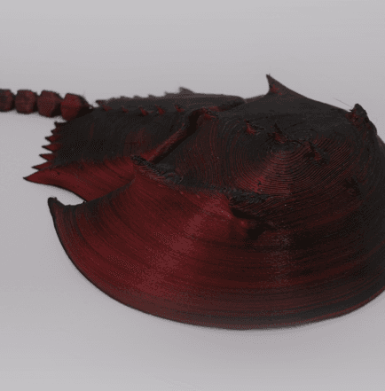Articulated Horseshoe Crab 3d Print Printable Stl File Print in Place Flex 3d model