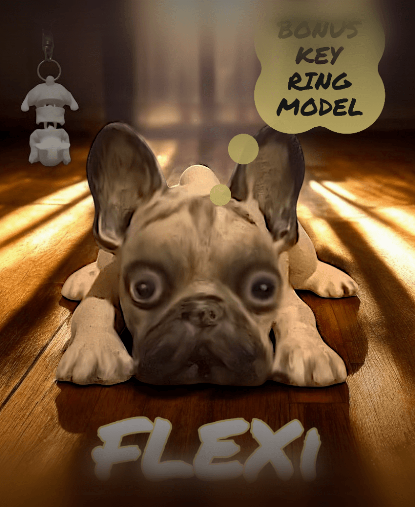 Flexi Frenchy 3d model