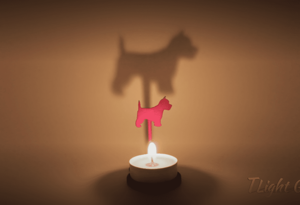 Anima Scottie 3d model