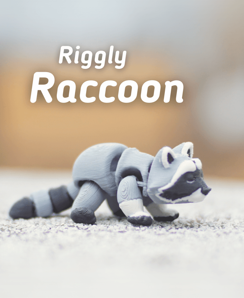 Riggly Raccoon Articulated Fidget Raccoon - Keychain - Ludo 3D Printed Flexi 3d model