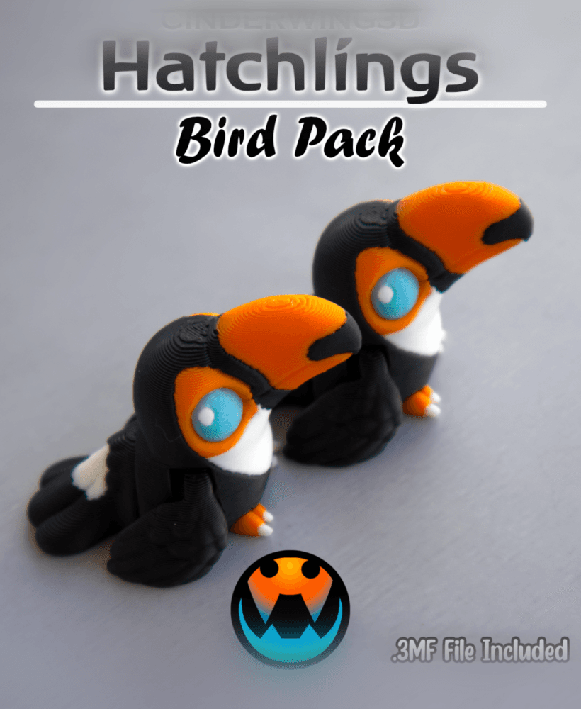 Toucan- Hatchling 3d model