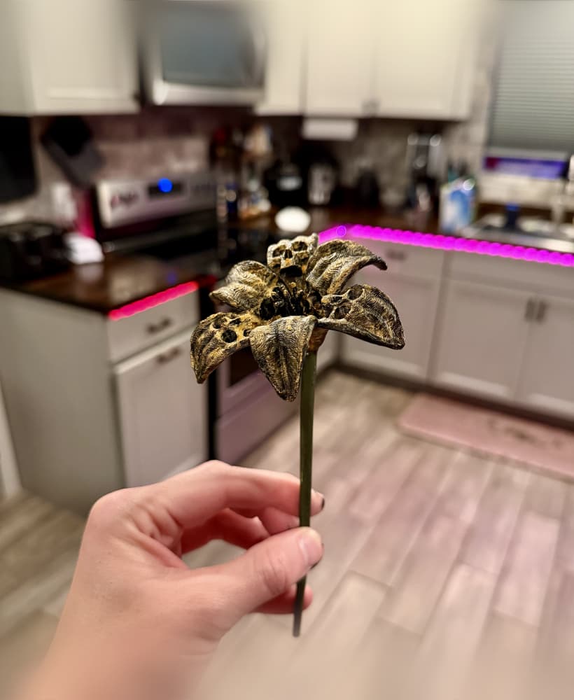 The forbidden Lilly 3d model