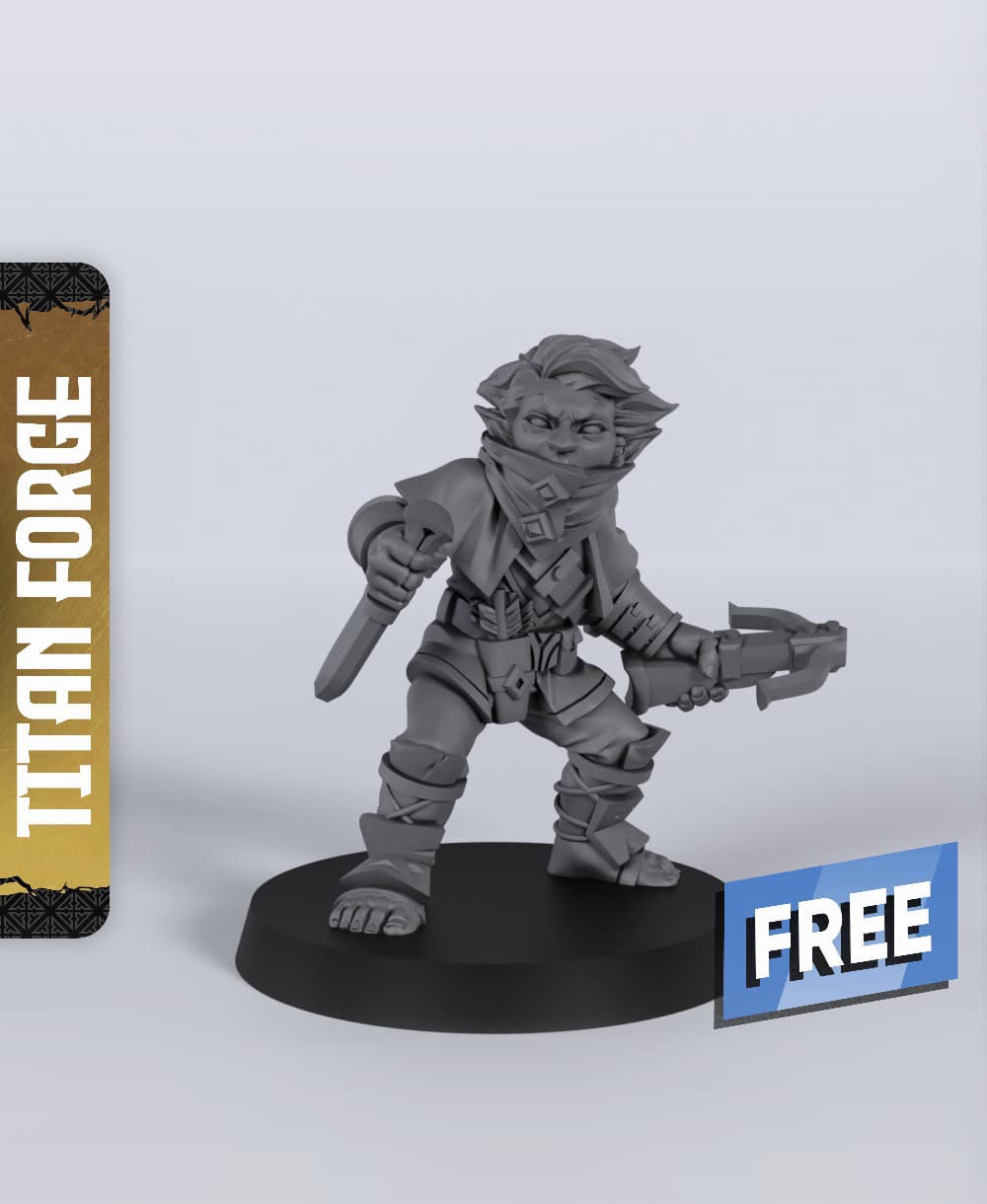 Halfling Male Rogue - With Free Dragon - 5e DnD Inspired for RPG and Wargamers 3d model