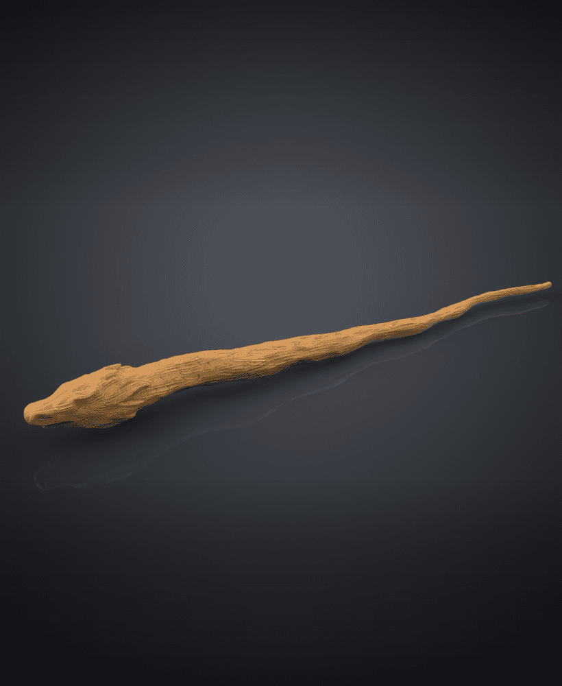 Dragon Heartstring Wand - Harry Potter 3d model
