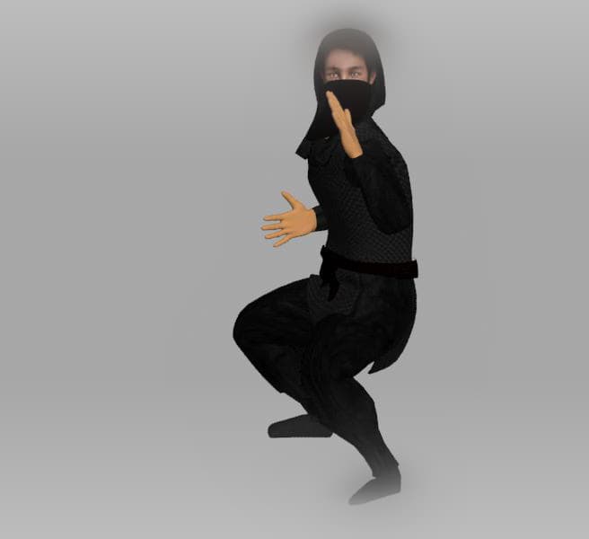 Ninja Rigged v1 3d model