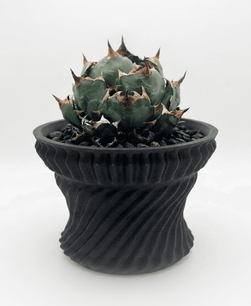 Spiral Fluted Industrial Planter for Agave, Cactus, Caudex & Succulents 3d model