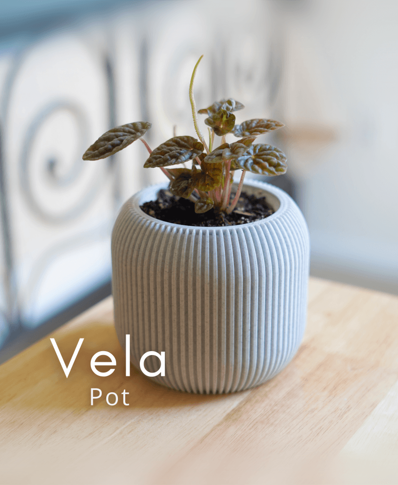 Vela Pot 3d model
