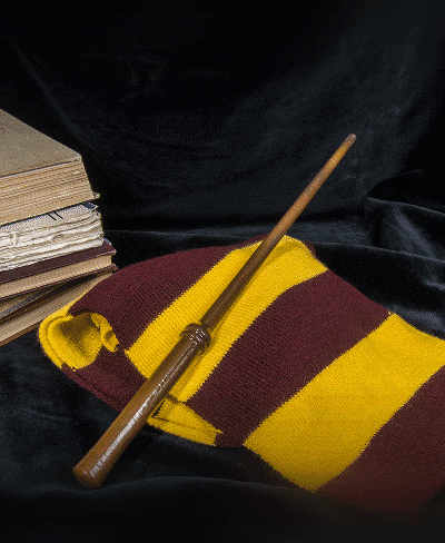 Harry Potter’s 1st Wand - Harry Potter 3d model