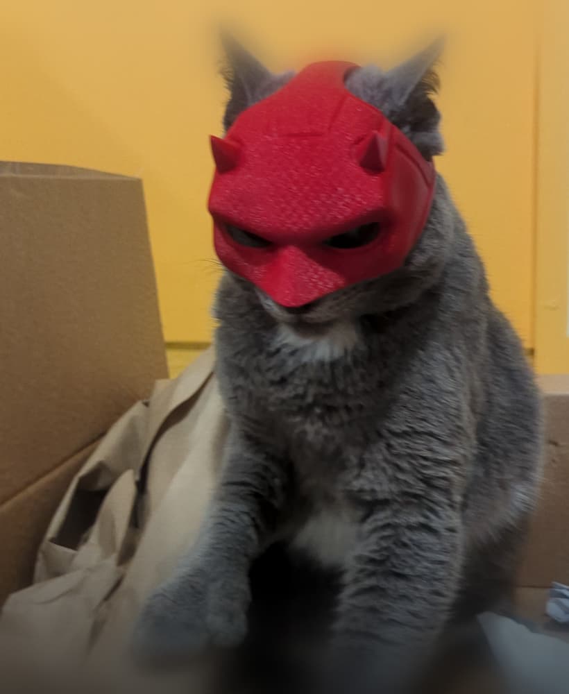 Daredevil Cat Cowl 3d model