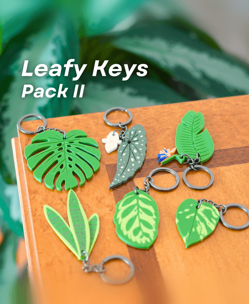 Leafy Keys Pack II - Houseplant Keychains - For Car Key Ring and House Keys 3d model