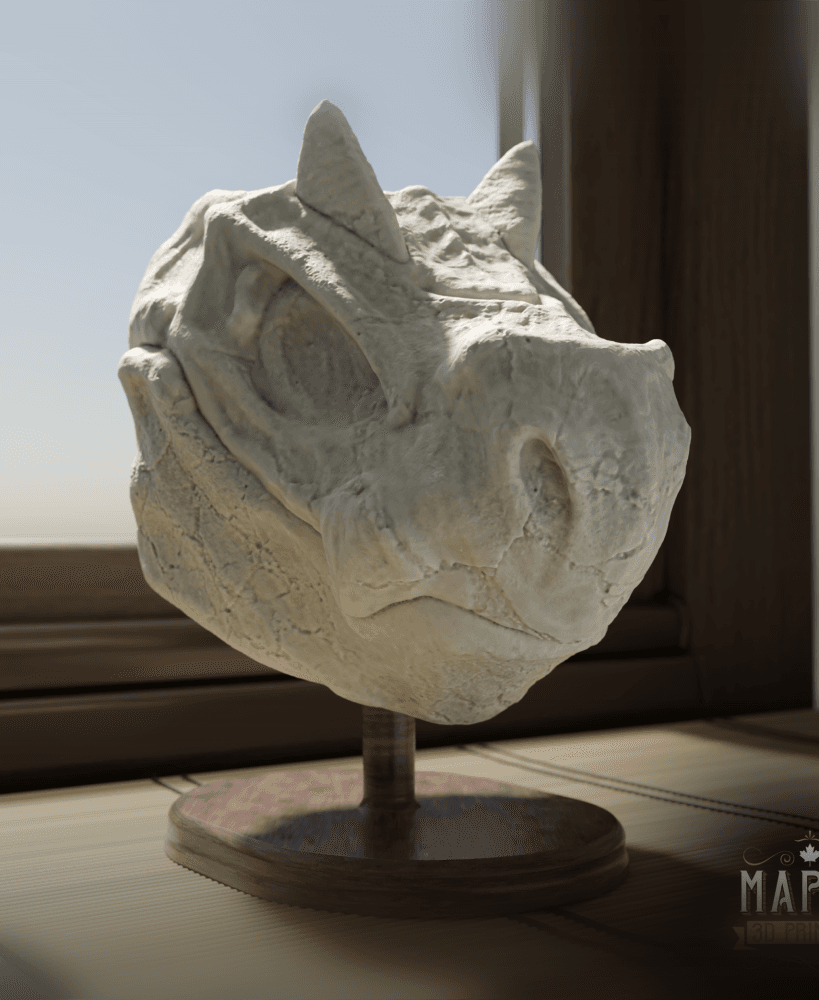 Tyrunt Skull - Solid & Hollow 3d model