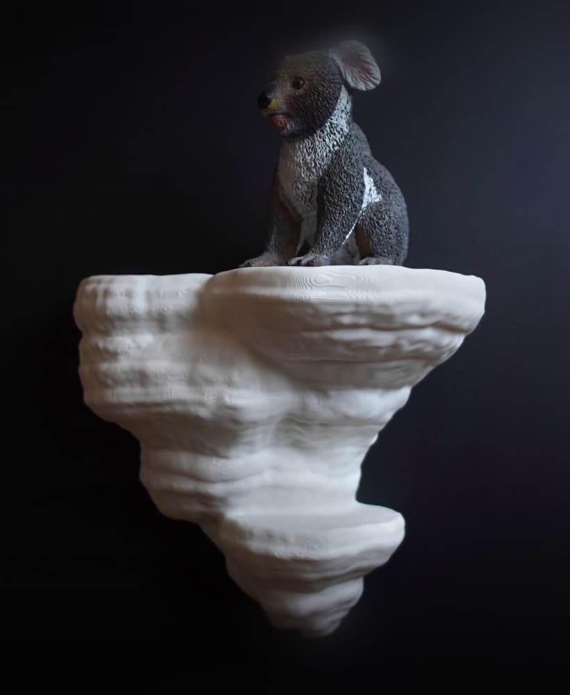 Mushroom shelf “Fomes Fomentarius” 3d model