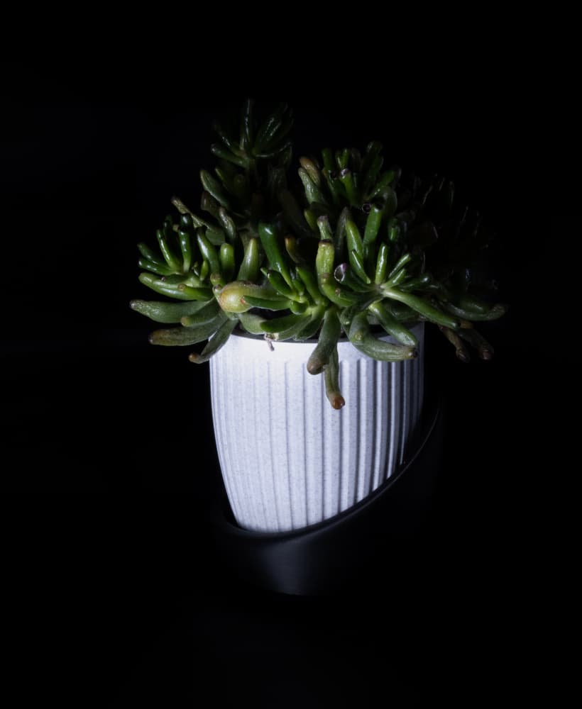 Doric Flower Vase Planter by JDL 3d model