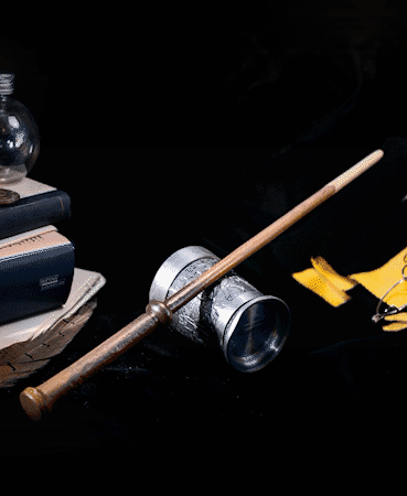 Pomona Sprout's Wand - Harry Potter 3d model