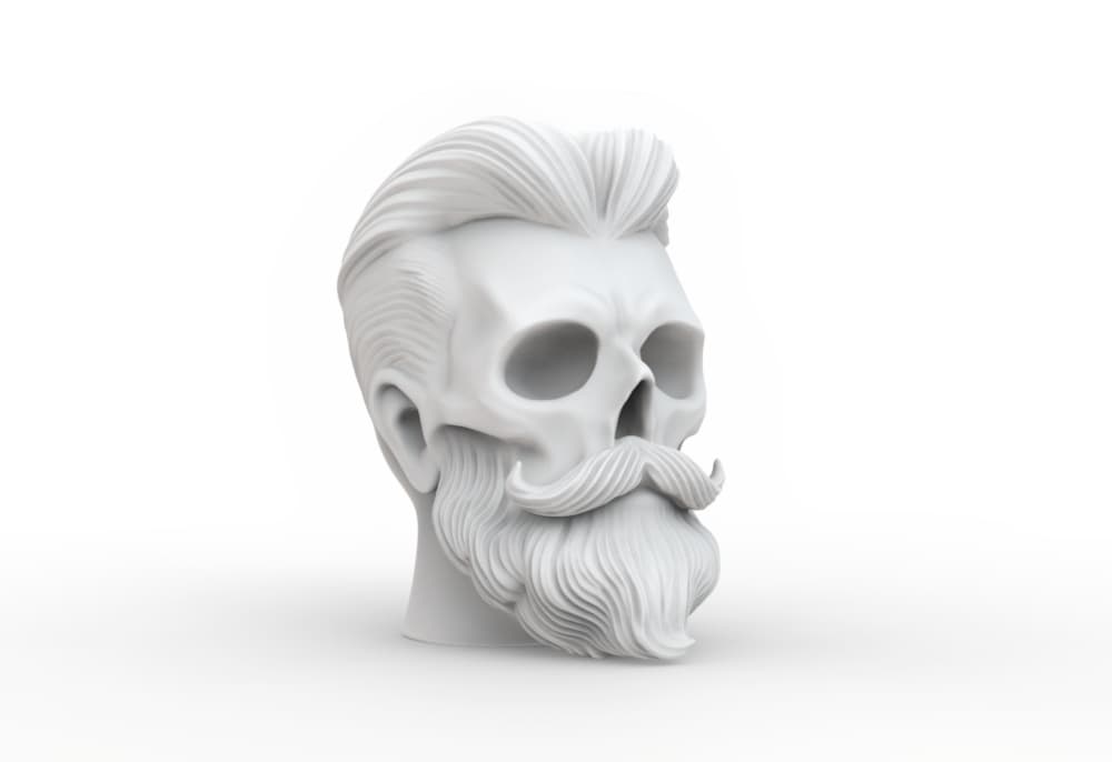 Beard Skull 3d model