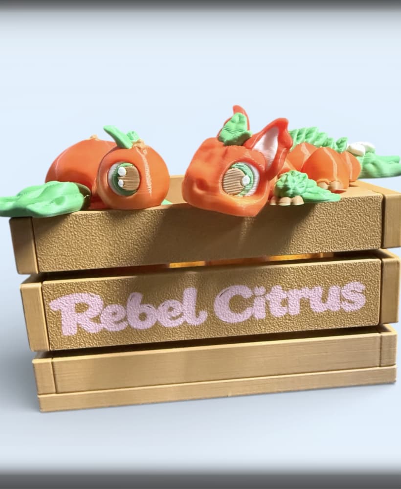 Rebel Citrus Friends - Orange Dragon and Turtle 3d model