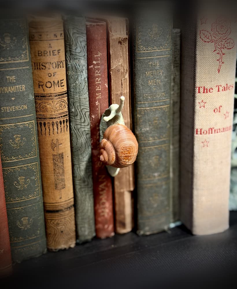 Snail spine hugger 3d model