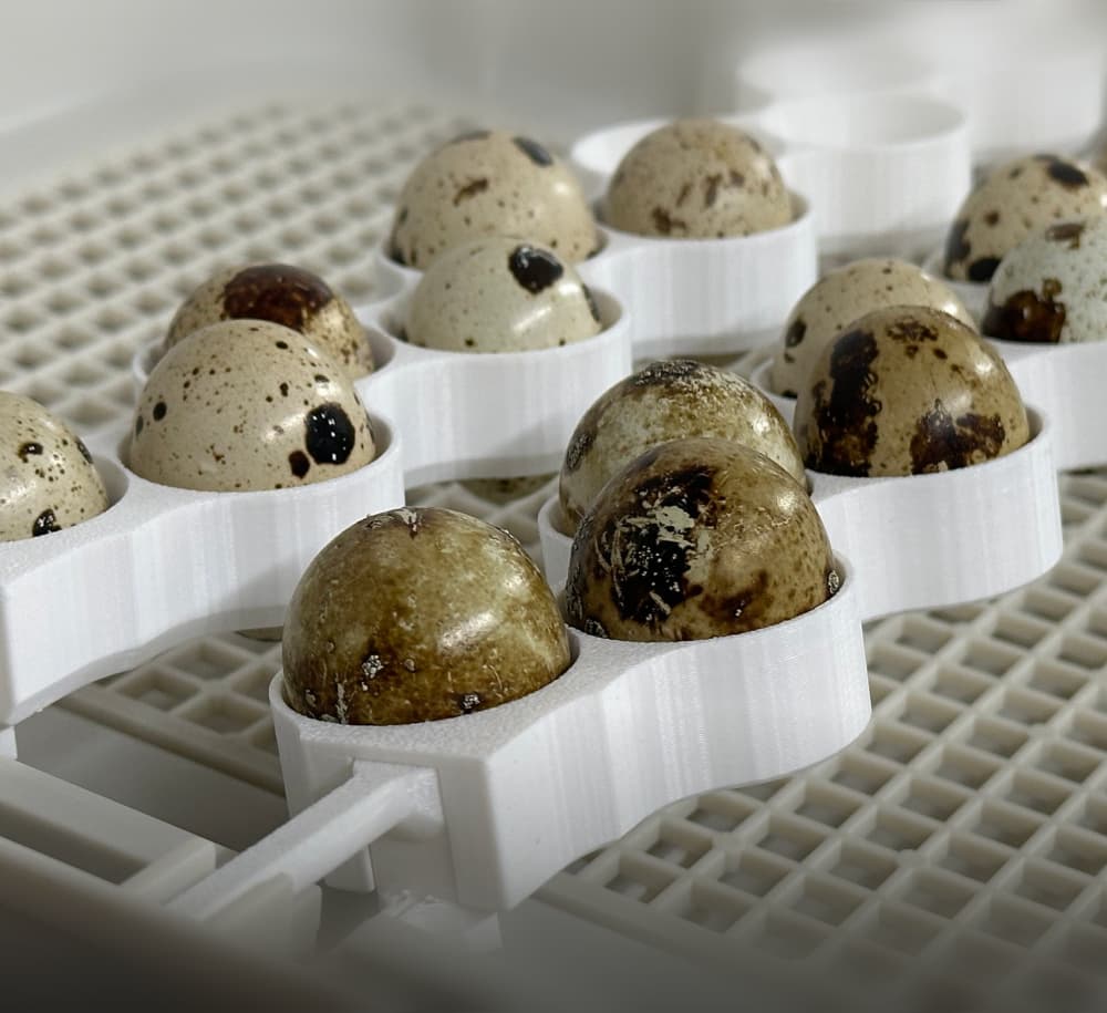 Regular Quail Eggs Basket Replacement for Maticoopx 30 or Zohoko 24 Incubators 3d model