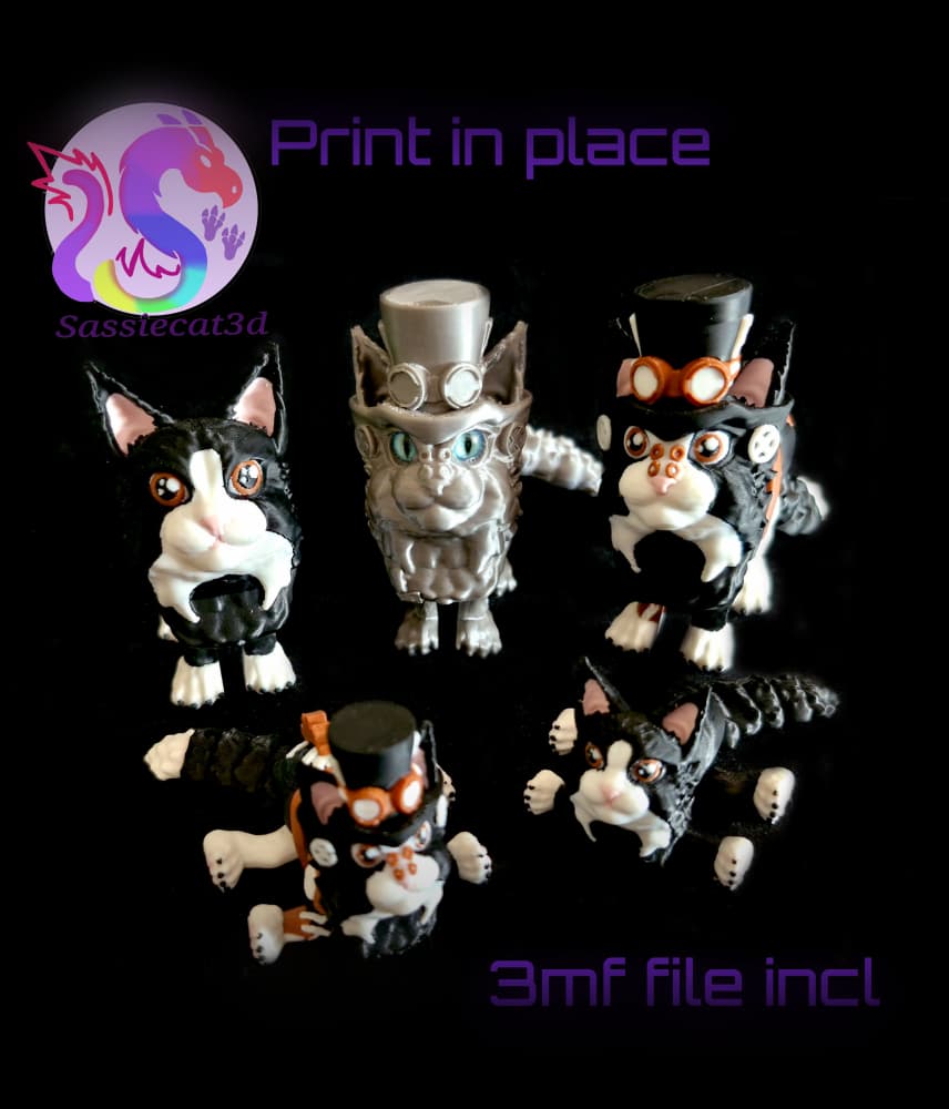 Maine Coon & steampunk Kitten (Personal Use) 3d model