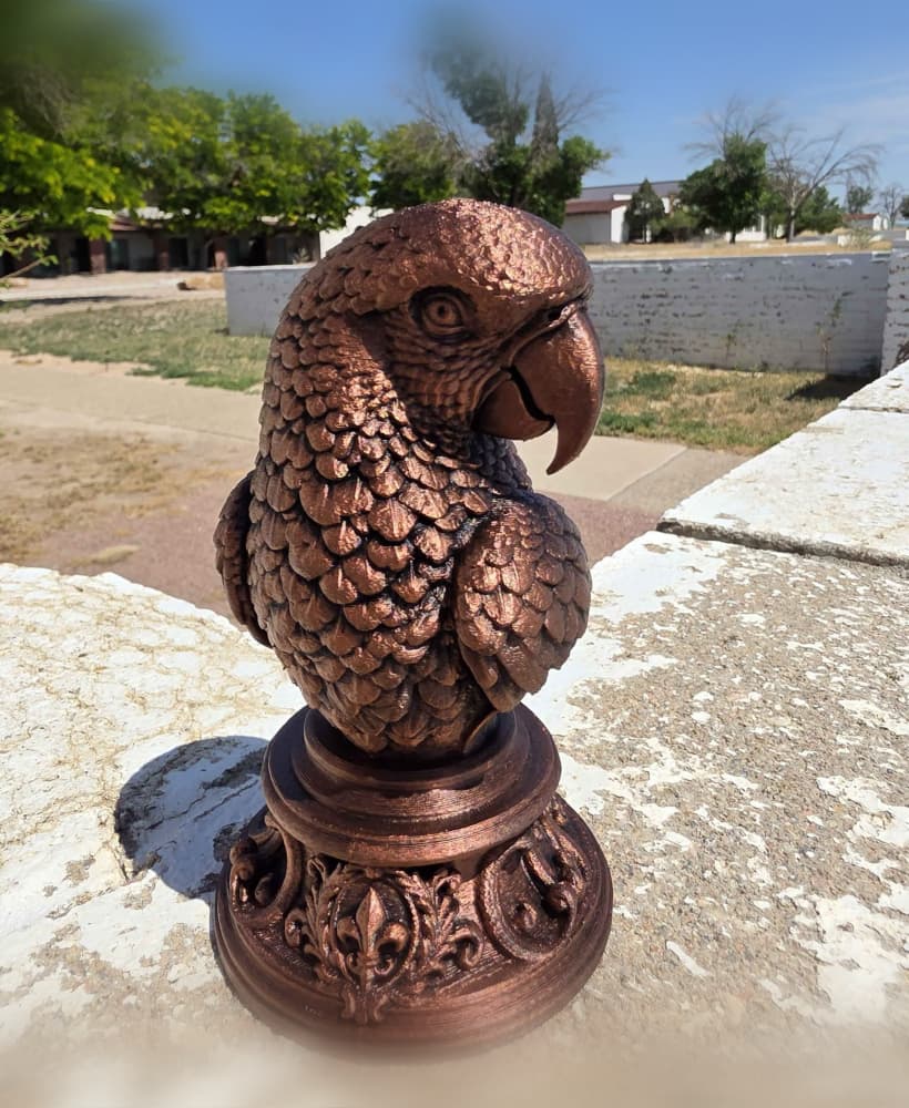 Parrot Bust 3d model