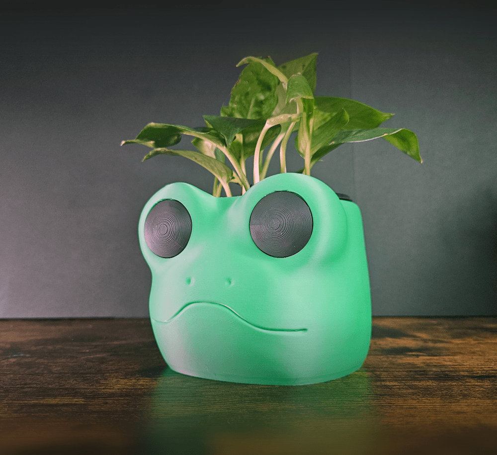 Froggy Planter Pot 3d model