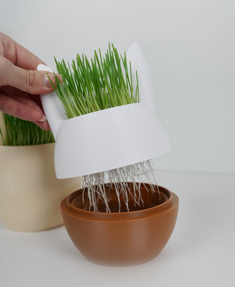 SPROUTBUNNY self-watering Easter Bunny Planter 3d model