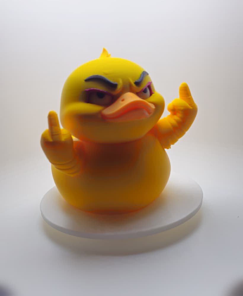 Lady FSCK Duck 3d model