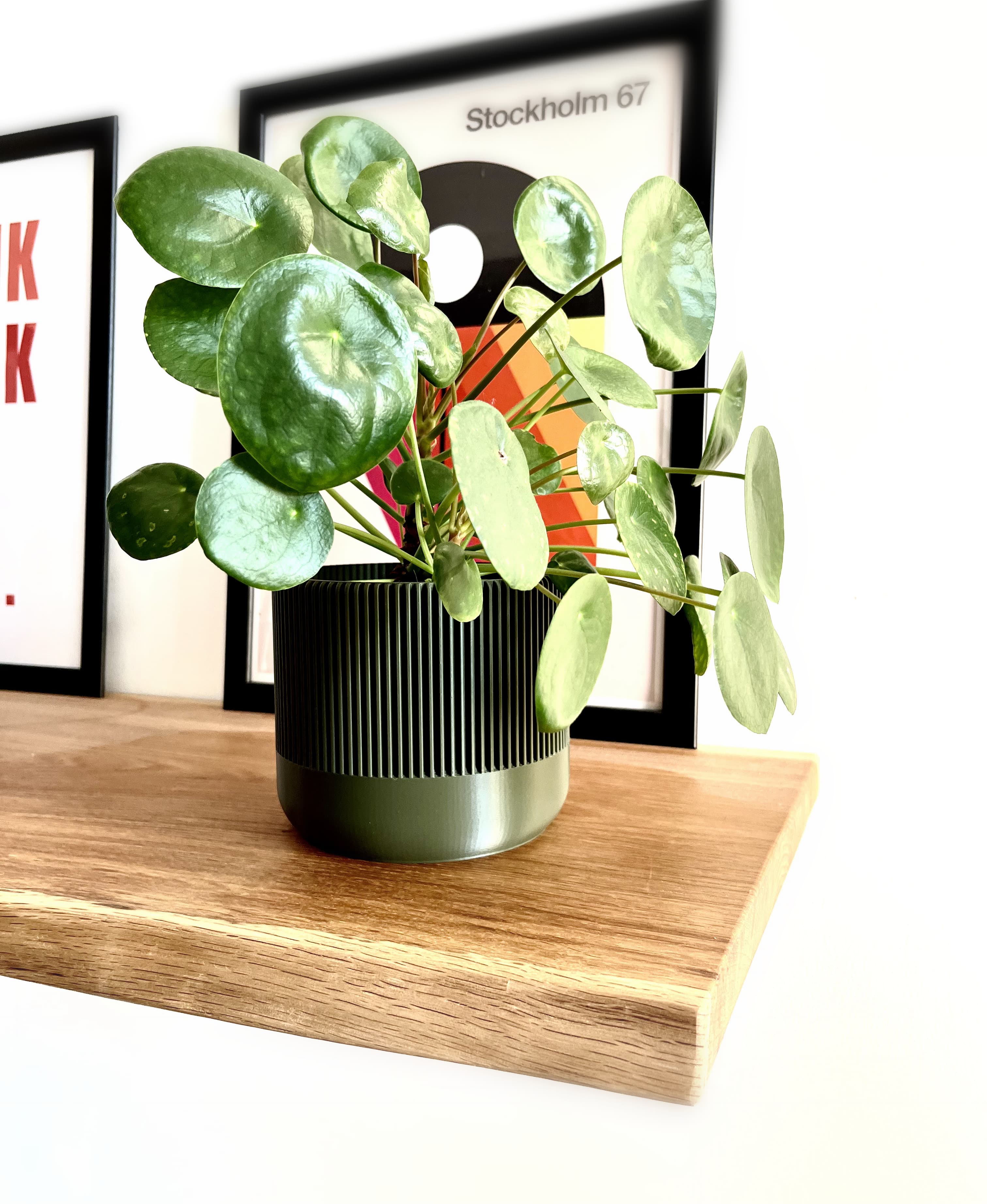 Basic Mid century modern planter 3d model