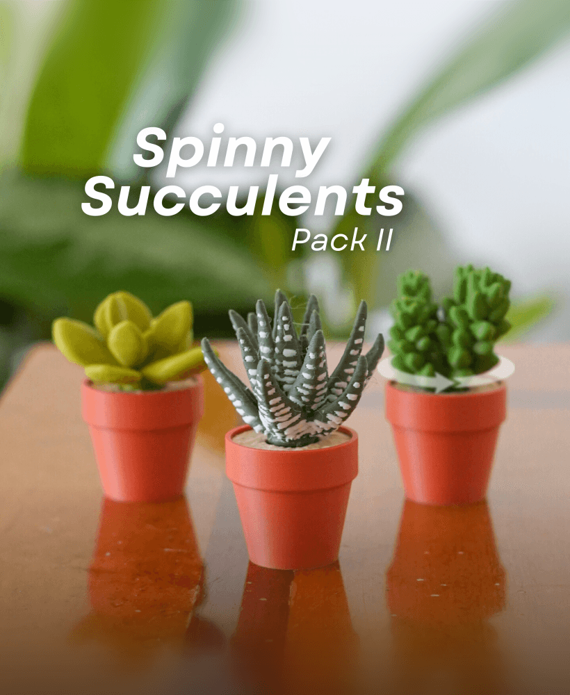 Spinny Succulents Pack II 3d model