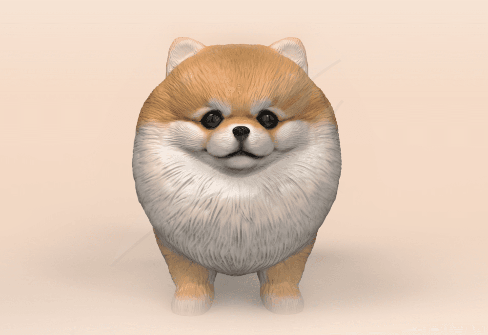 Cute Pomeranian 3d model