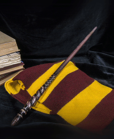 Ginny Weasley‘s Wand - Harry Potter 3d model