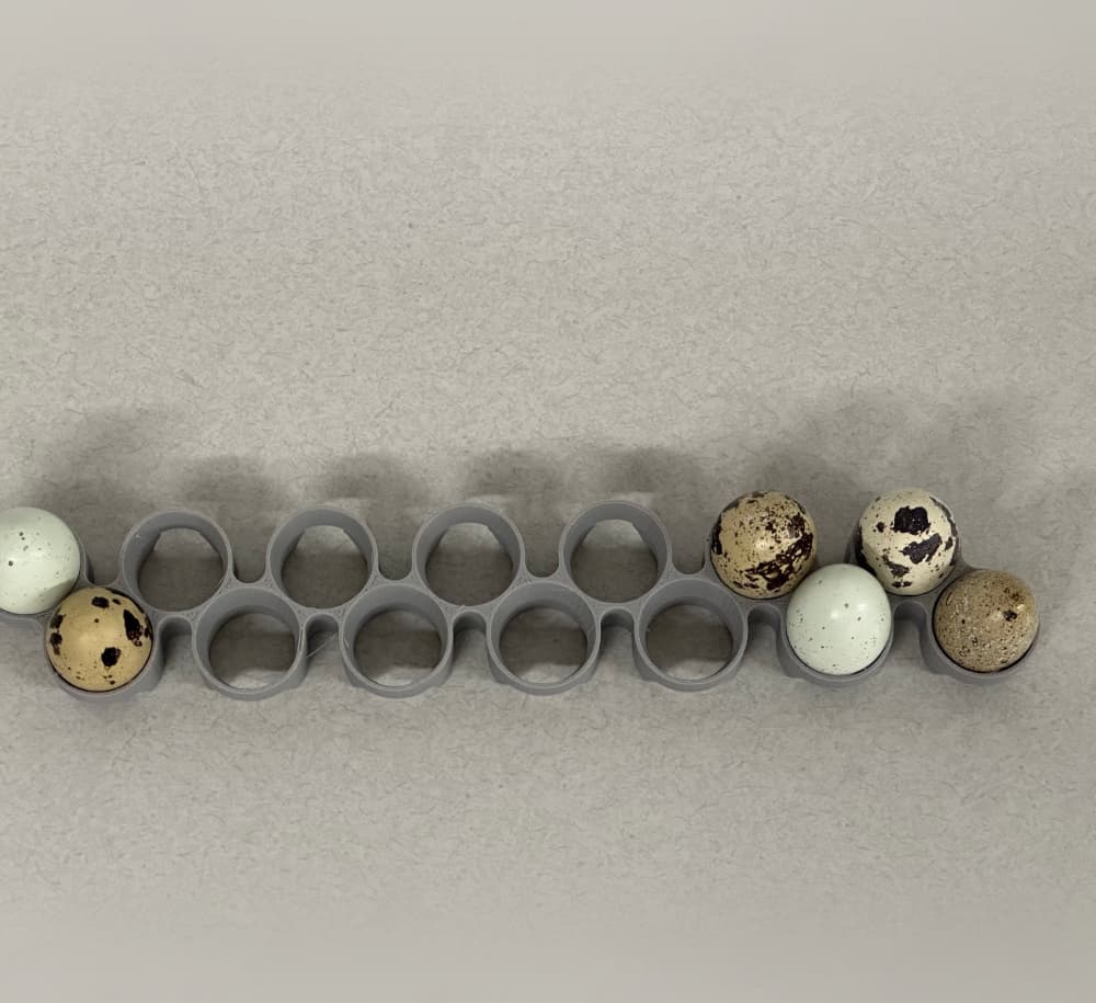 Maticoopx Incubator Quail Egg Tray (Regular sized eggs) 3d model