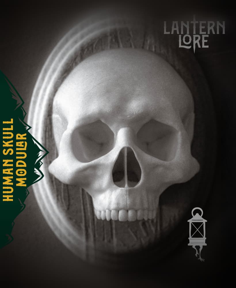 Human Skull Modular (Pre Supported) 3d model