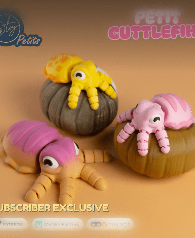 PETIT CUTTLEFISH 3d model