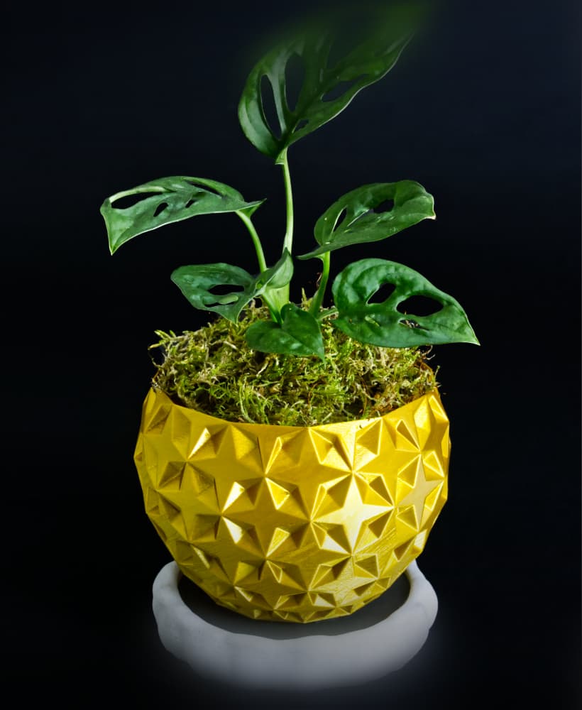 SHIMMER 01 Planter 3d model