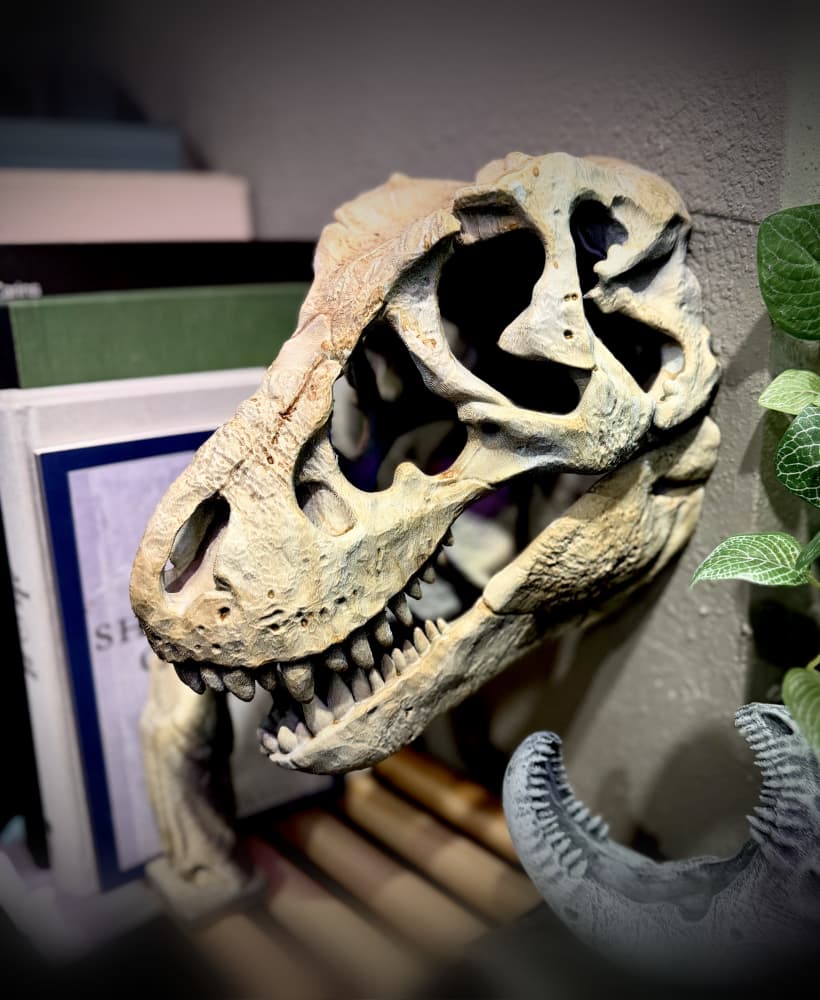 Wall mounted T-rex skull 3d model