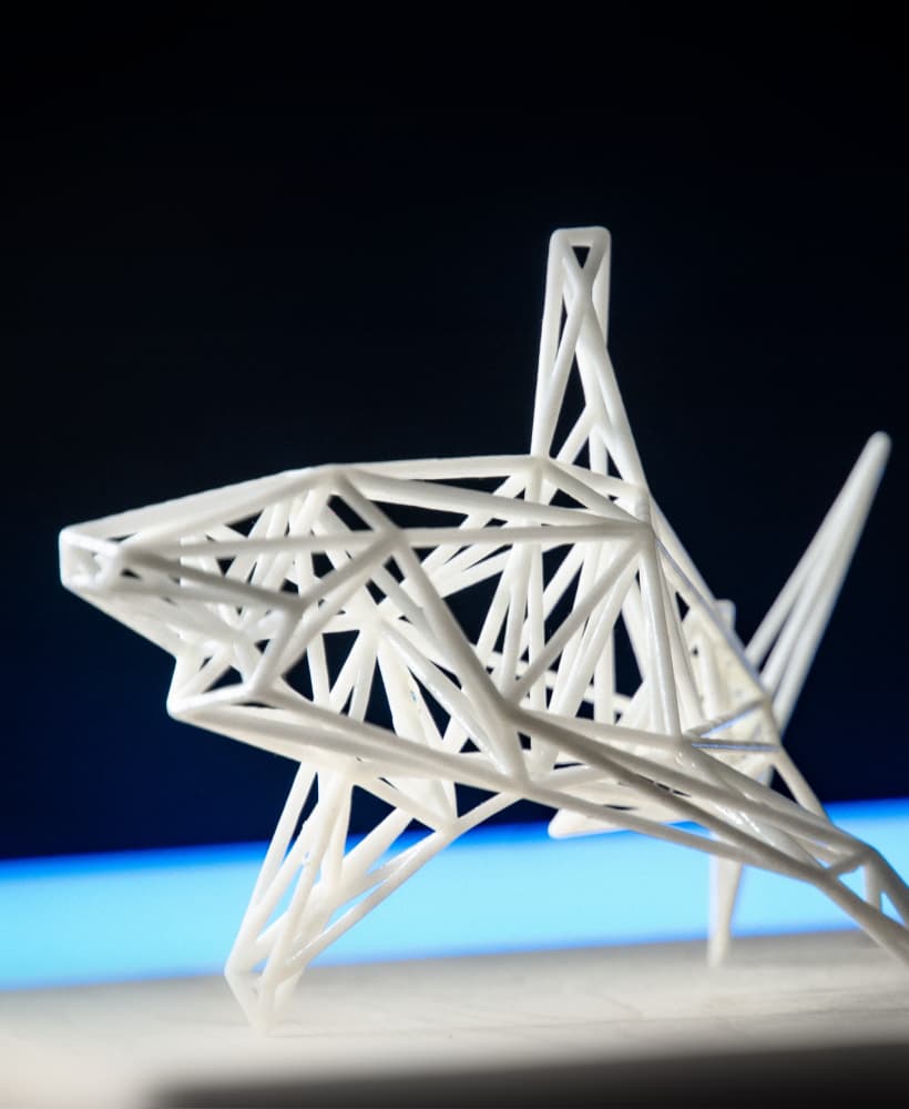 White Shark 3d model