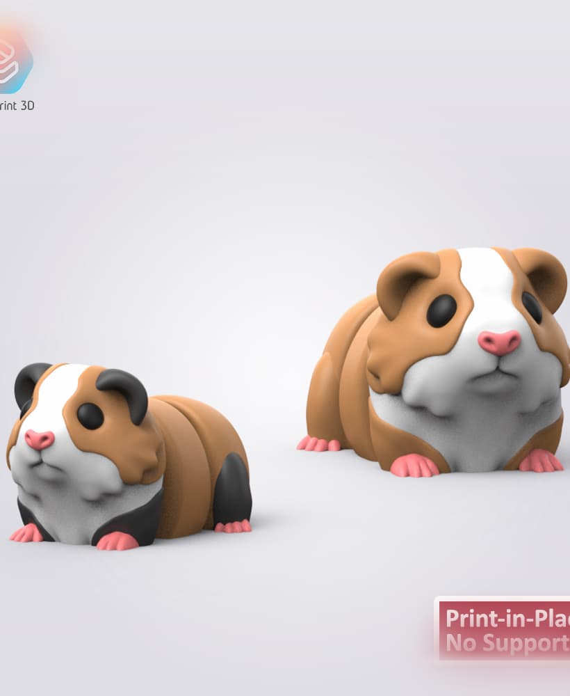 Flexi Guinea Pig 3d model