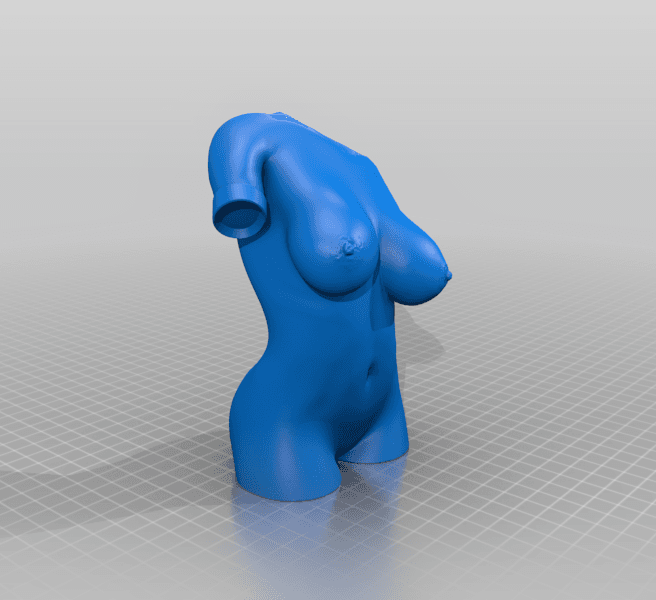 Female torso 3d model