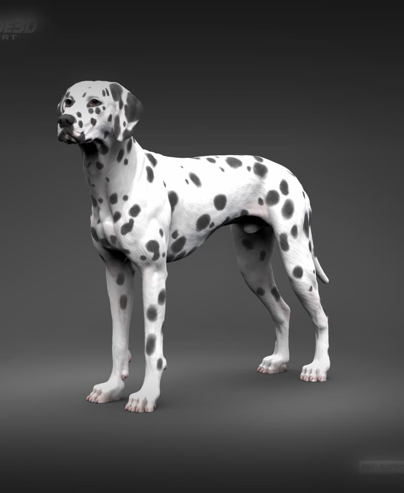 Dalmatian 3D Print Model Pose 02 3d model