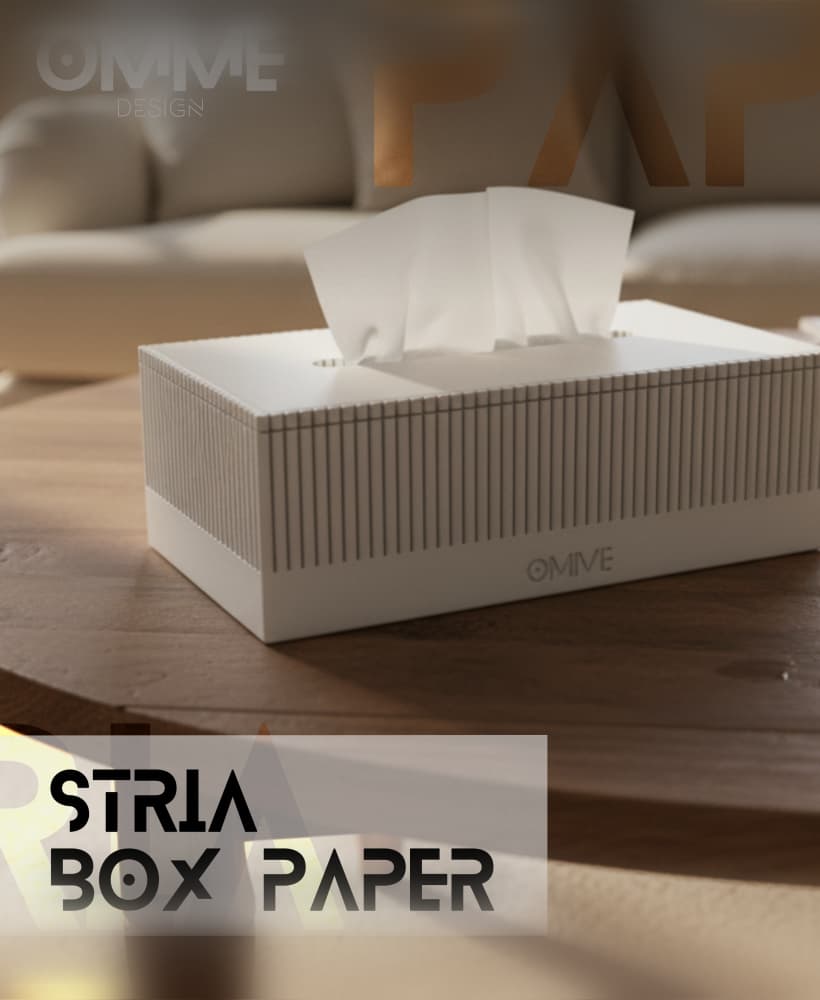 stria box paper 3d model