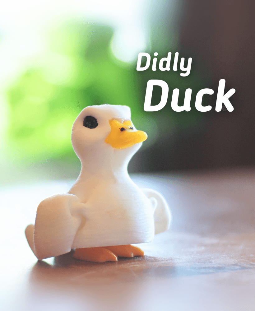 Didly Duck - Articulated Fidget Call Duck - Ludo 3D Printed Flexy Fidget Toy 3d model
