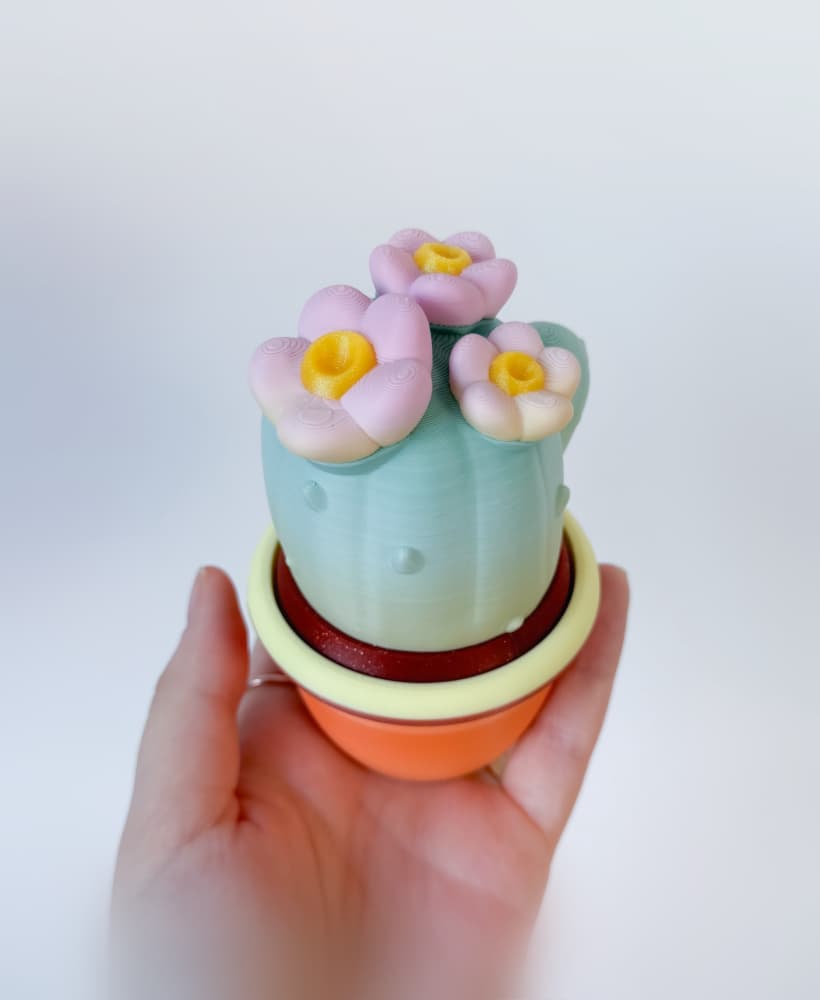 Cactus pot container and Cactus clicker 3d model