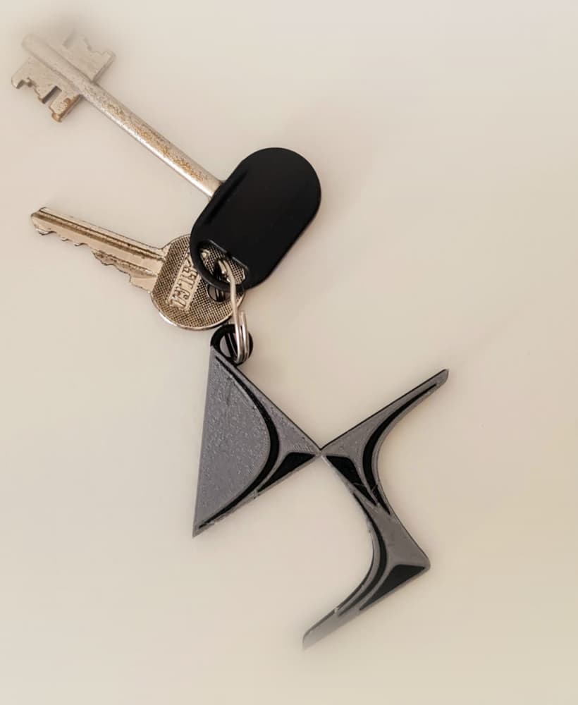 Keychain: DS I 3d model
