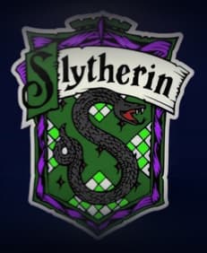 Slytherin Crest Sign – LED strip compatible 3d model