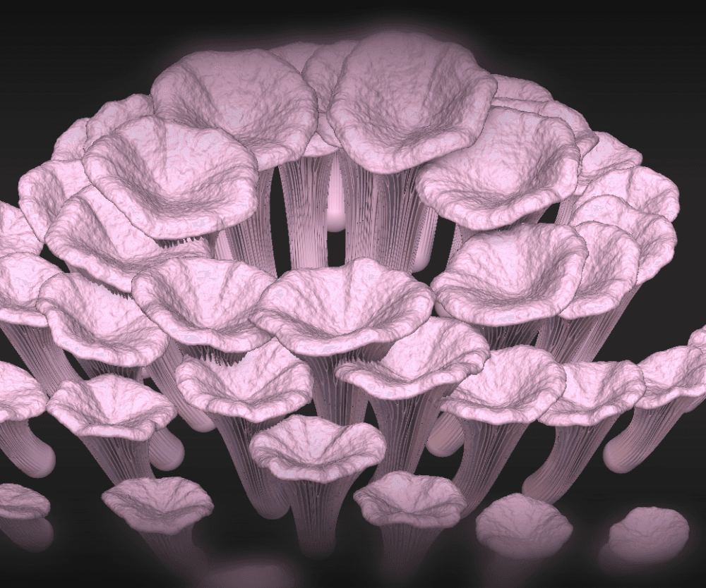 Oyster Mushroom Designer Pack 3d model
