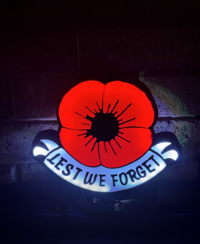 Poppy Light Box 3d model